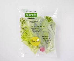 蘇州松下新植物工廠蔬菜正式出貨，科技農業開啟綠色新篇章